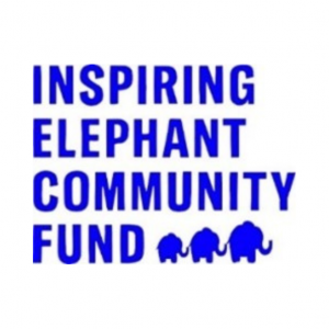 Inspiring Elephant
